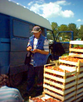 Erdbeerannahme mit miniAKKORD